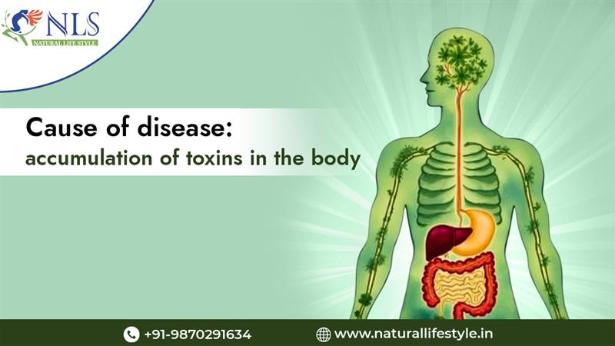 Cause of disease: accumulation of toxins in the body