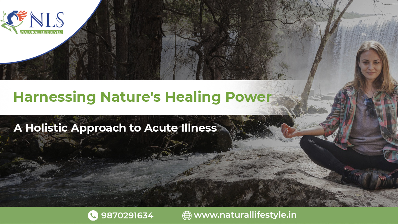 Harnessing Nature’s Healing Power: A Holistic Approach to Acute Illness