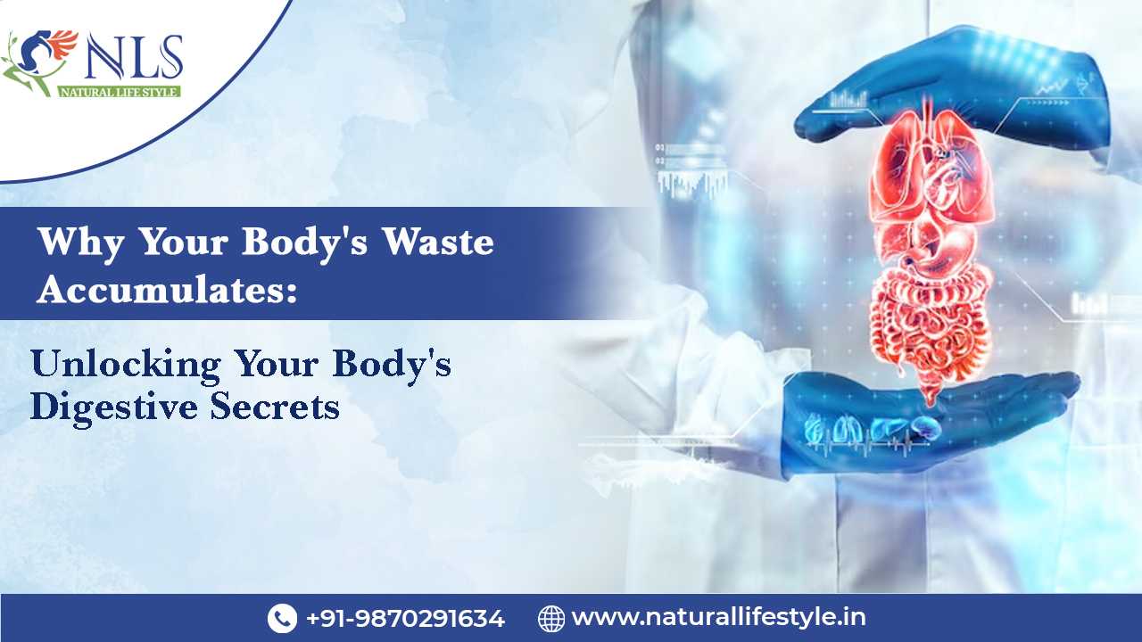 Why Your Body’s Waste Accumulates:  Unlocking Your Body’s Digestive Secrets