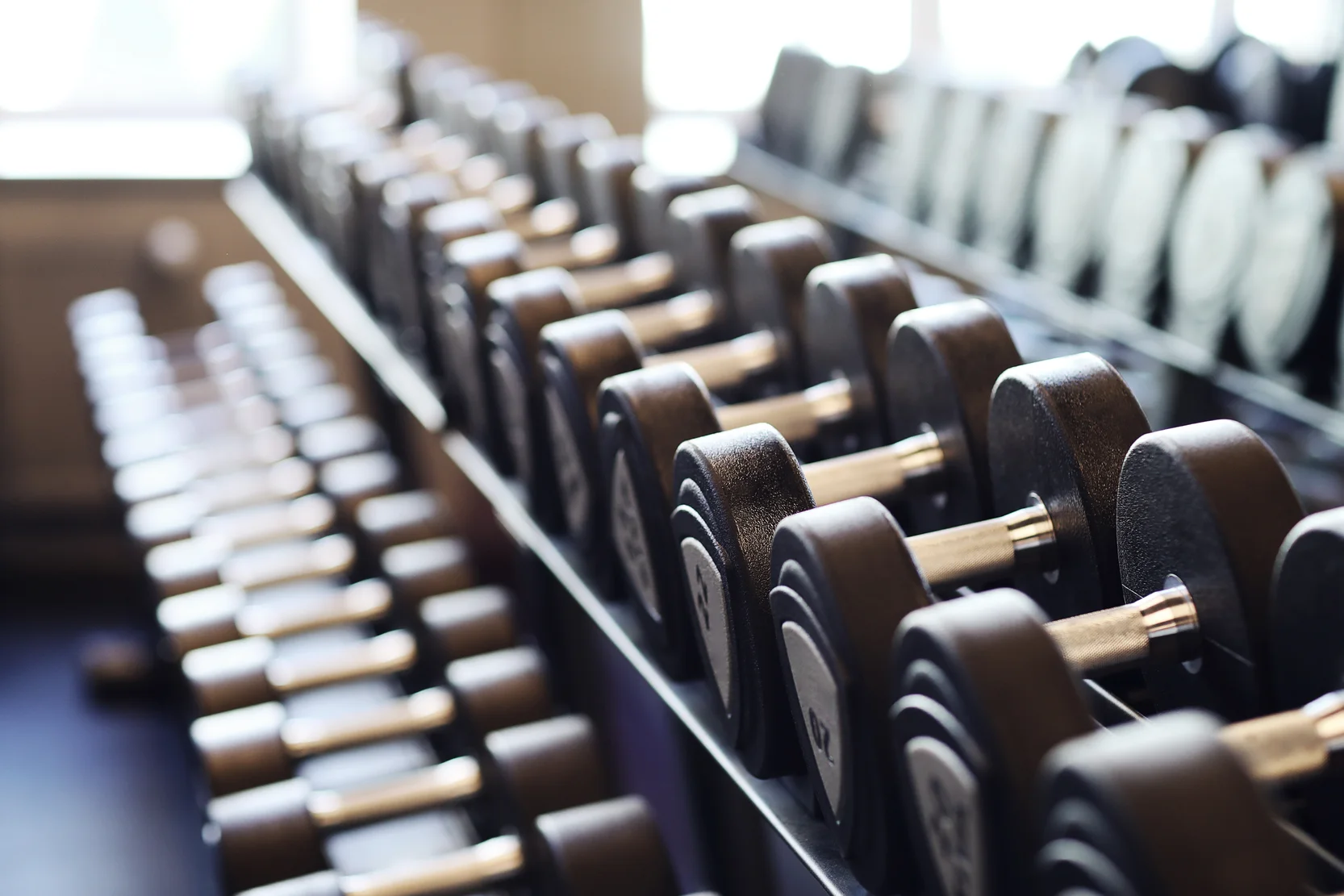 Blog 15 dumbbells gym 1