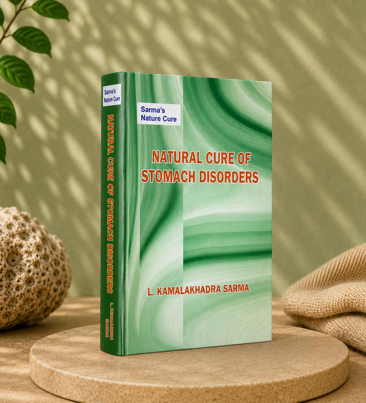 Stomach Disorders Cure Book