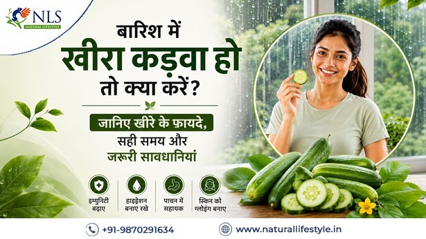 बारिश में खीरा कड़वा हो तो क्या करें? जानिए खीरे के फायदे, सही समय और जरूरी सावधानियां